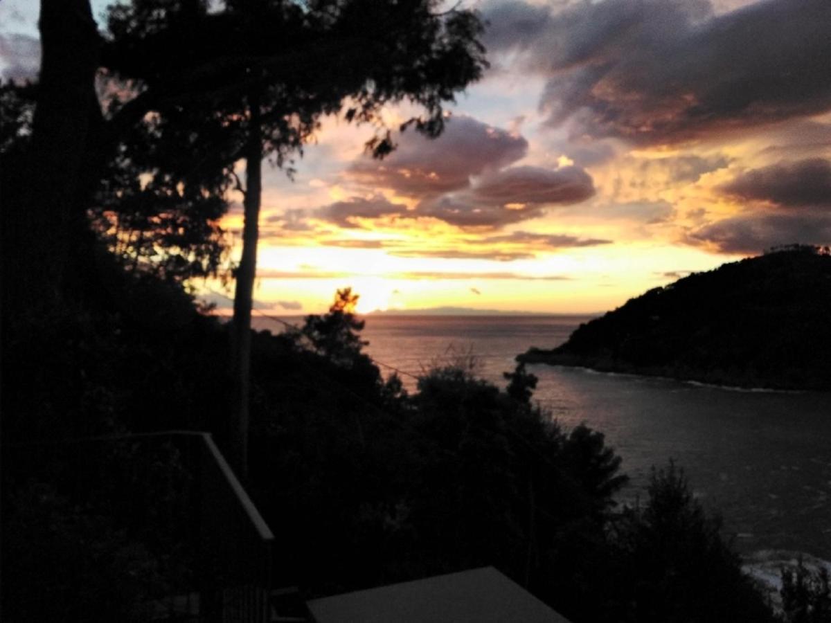 Villa Mimosa Splendida Vista Mare Bonassola Zewnętrze zdjęcie