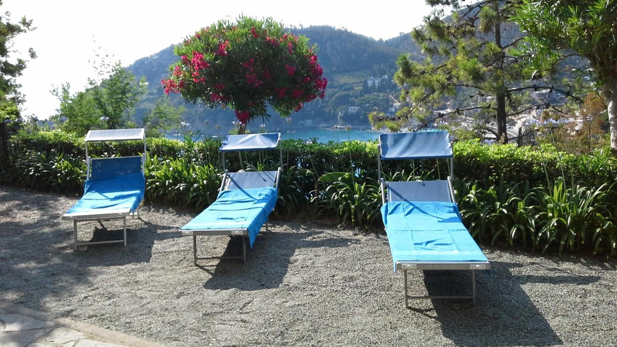 Villa Mimosa Splendida Vista Mare Bonassola Zewnętrze zdjęcie
