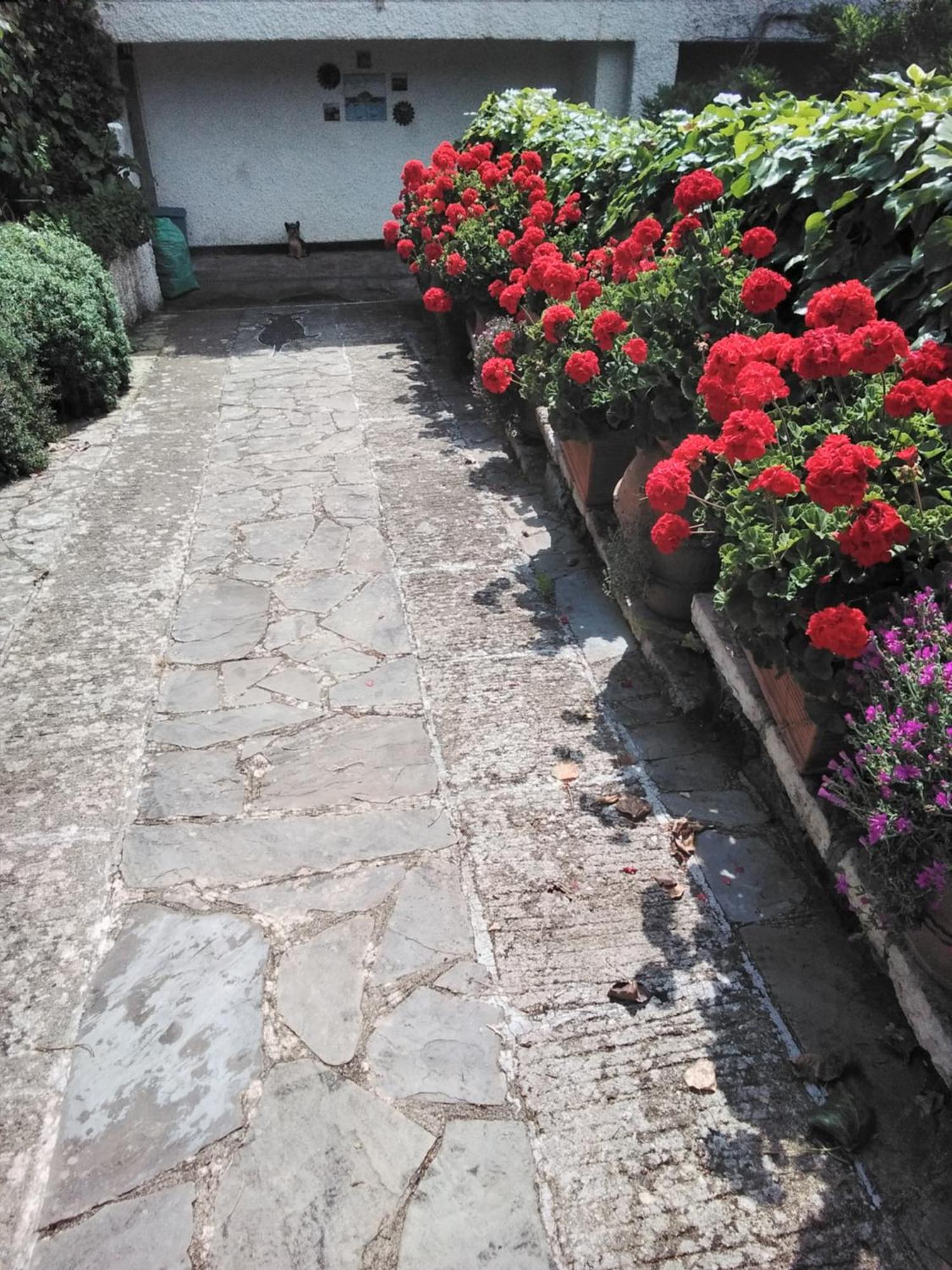 Villa Mimosa Splendida Vista Mare Bonassola Zewnętrze zdjęcie