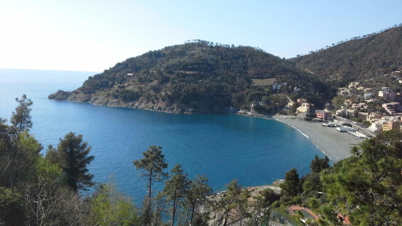 Villa Mimosa Splendida Vista Mare Bonassola Zewnętrze zdjęcie